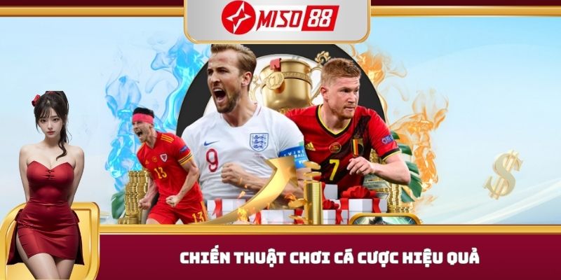 Chiến thuật chơi cá cược hiệu quả
